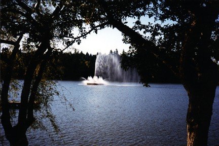 F00161.JPG
