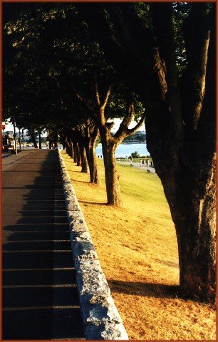F00324.JPG