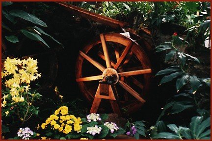 F00327.JPG