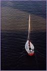 Burard Inlet Sail Boat