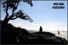 Whytecliff Park
