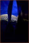Bloedel Dome Luminated