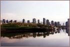 False Creek Afternoon