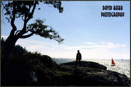cliff1.jpg