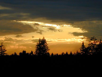 sun020402.jpg